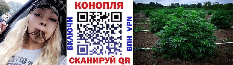 сайты даркнета наркотические препараты  Каргополь  Канабис план 